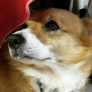 Meet your Posher, Rich